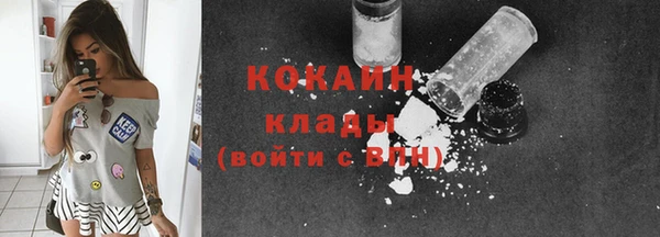 индика Лихославль