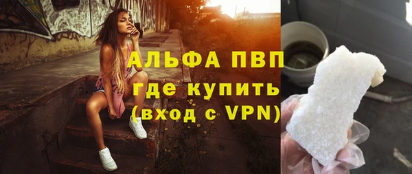 индика Лихославль