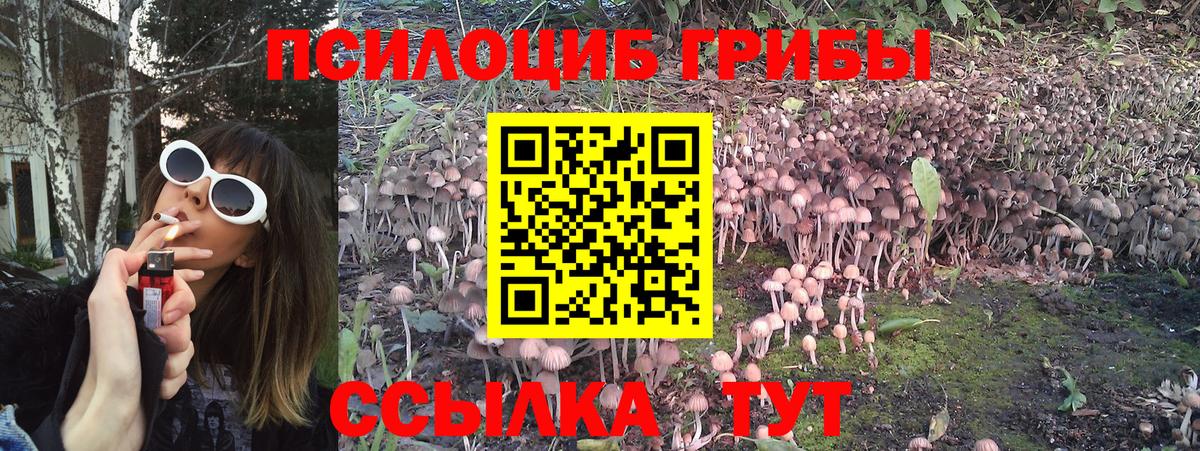 Псилоцибиновые грибы мицелий  Галлюциногенные грибы прущие грибы  Новосибирск  Вход с VPN 